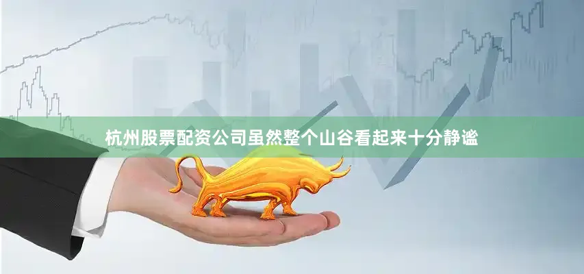杭州股票配资公司虽然整个山谷看起来十分静谧