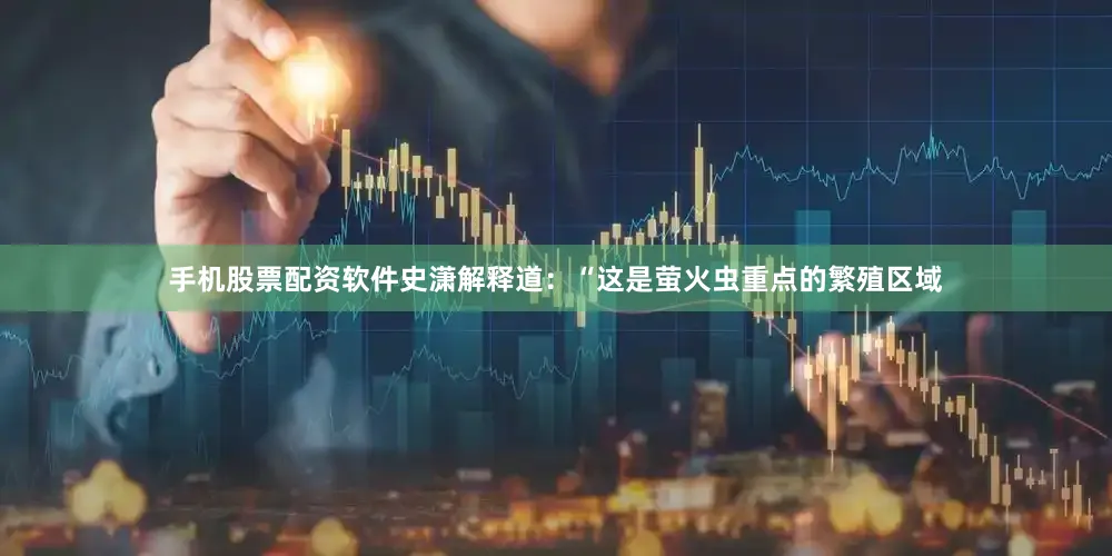 手机股票配资软件史潇解释道：“这是萤火虫重点的繁殖区域