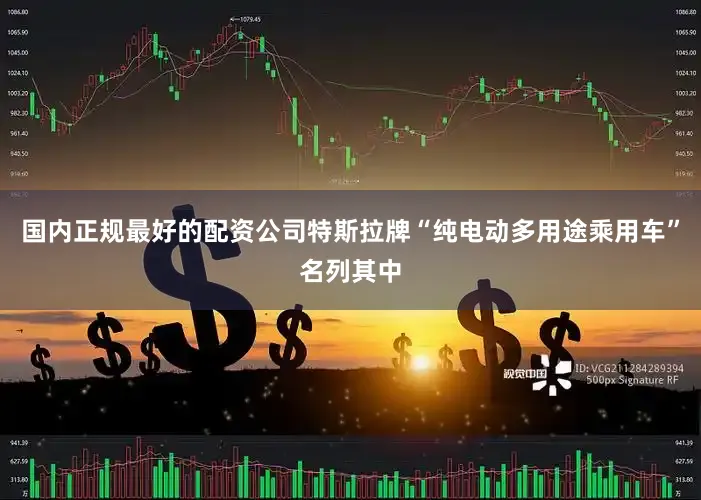 国内正规最好的配资公司特斯拉牌“纯电动多用途乘用车”名列其中