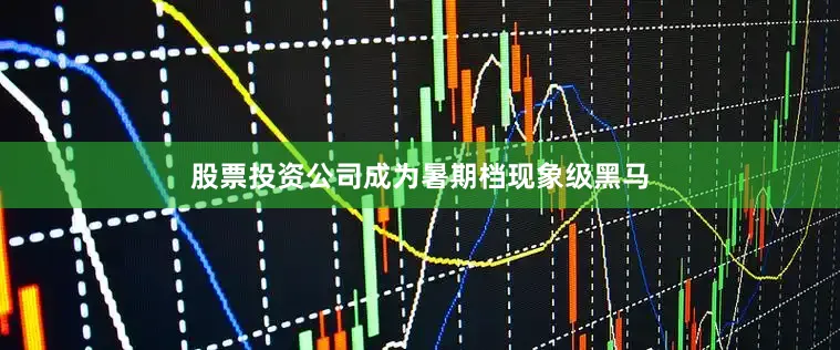 股票投资公司成为暑期档现象级黑马