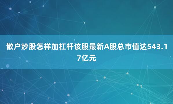 散户炒股怎样加杠杆该股最新A股总市值达543.17亿元