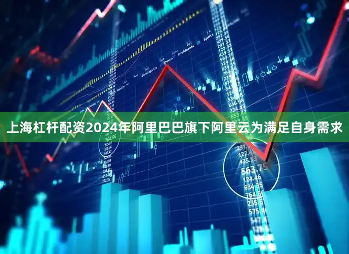 上海杠杆配资2024年阿里巴巴旗下阿里云为满足自身需求